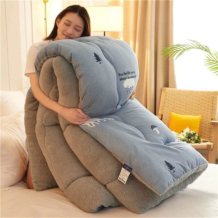 Couette D'hiver Extra Chaude 150x200 Cm - Double Face Velours Et Laine D'agneau - Poids 3 Kg - Chaleur Durable