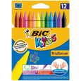 BIC Kids Plastidécor 12 Craies de Coloriage-0