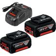Set 2 batterieS Bosch Professional GBA 18V 5,0Ah + Chargeur GAL 1880 CV  - 1600A00B8J-0