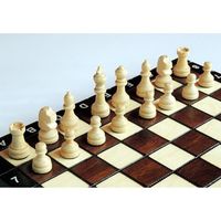 Master of Chess Jeu D'échec en Bois Pliable