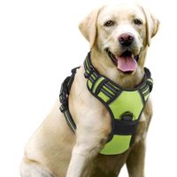 Harnais Chien Réglable Harnais pour chien -Anti Traction Matériau Respirante Durable -Couleur Vert --Taille L