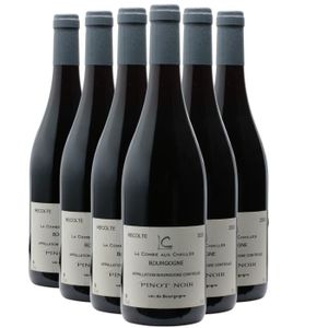 VIN ROUGE Bordeaux Pinot Noir Rouge 2021 - Lot de 6x75cl - L
