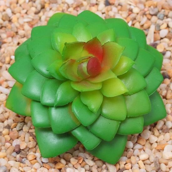 Déco Murales Succulentes Artificielles Vertes (x3) 30x15 Maisons Du