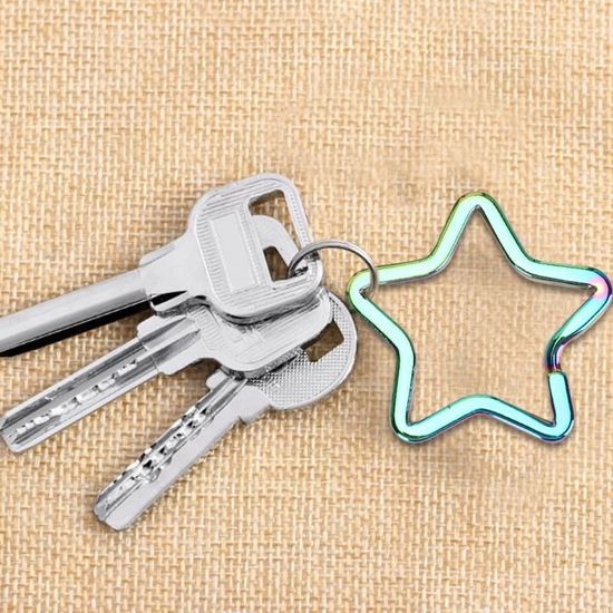 Vicloon 100pcs Porte-Étiquettes Clés Multicolores Avec Anneau - Identificateurs Pratiques