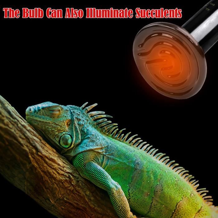 Ampoule de lampe de lumière de chaleur d'émetteur en céramique infrarouge 220V pour la couveuse d'animal familier de reptile