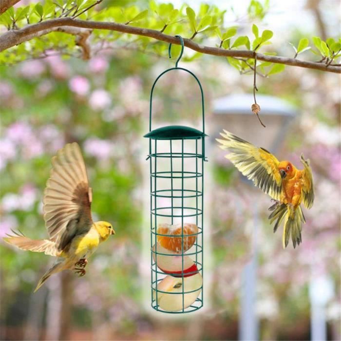 JARDINAGE Mangeoire à oiseaux Oiseaux sauvages nourrissant un arbre de jardin Accrochant un récipient de nourriture GTT91204002_315