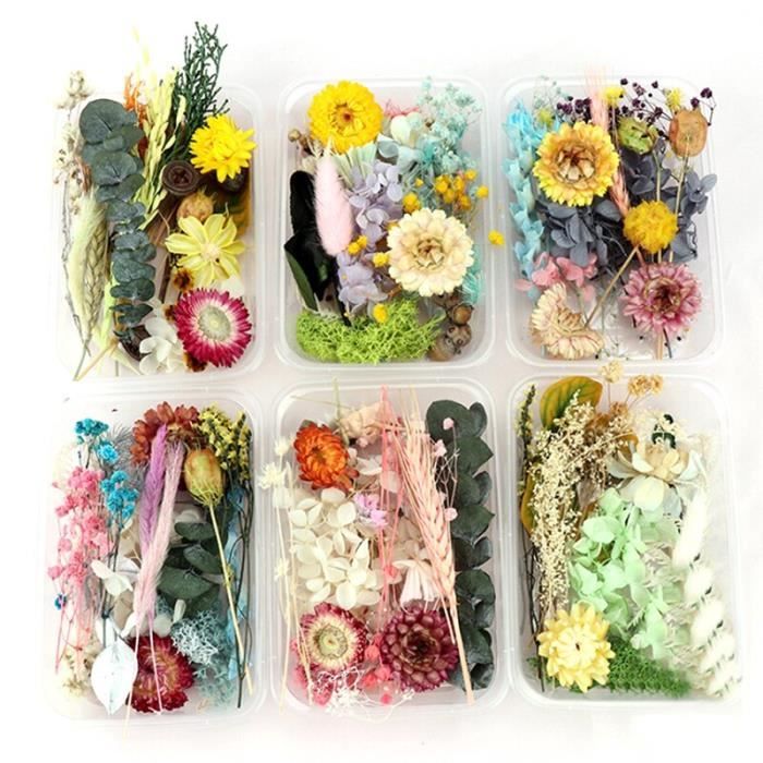 10x pressé véritable fleurs séchées Feuilles pour À faire soi-même Floral Arts Artisanat Fabrication Carte