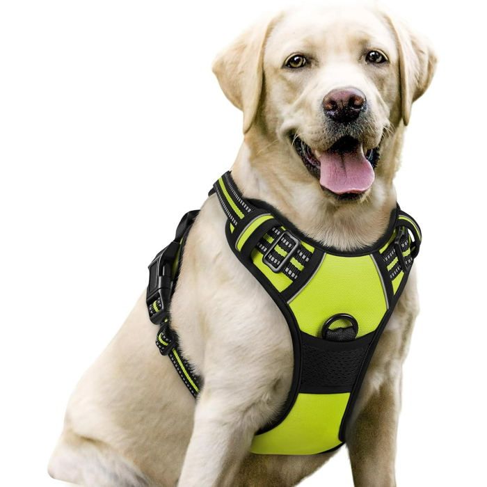 Noir Harnet pour Chien R/églable avec 2 Sangles /Élastiques dAmortissement Arnais pour Chien R/éfl/échissant Harnais Anti Traction Chien avec Poign/ée de Contr/ôle rabbitgoo Harnais Chien Taille M