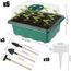 Serre de Jardin Bac à semis pour Croissance semence Mini Ulikey Kit de Démarrage pour Plantes Kit de Propagation de semis de Mini Serre avec Plateaux de Semis 