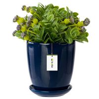 Pot de fleur bleu foncé avec soucoupe Rond dimensions 240 mm x 260 mm Surface brillant céramique glamour moderne