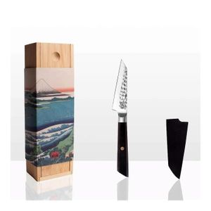 KOTAI - Couteau de Chef Professionnel en Acier Japonais Inoxydable et  Ultra-Tranchant (Lame Martelée, Couteau de Chef, Lame [290] - Cdiscount  Maison