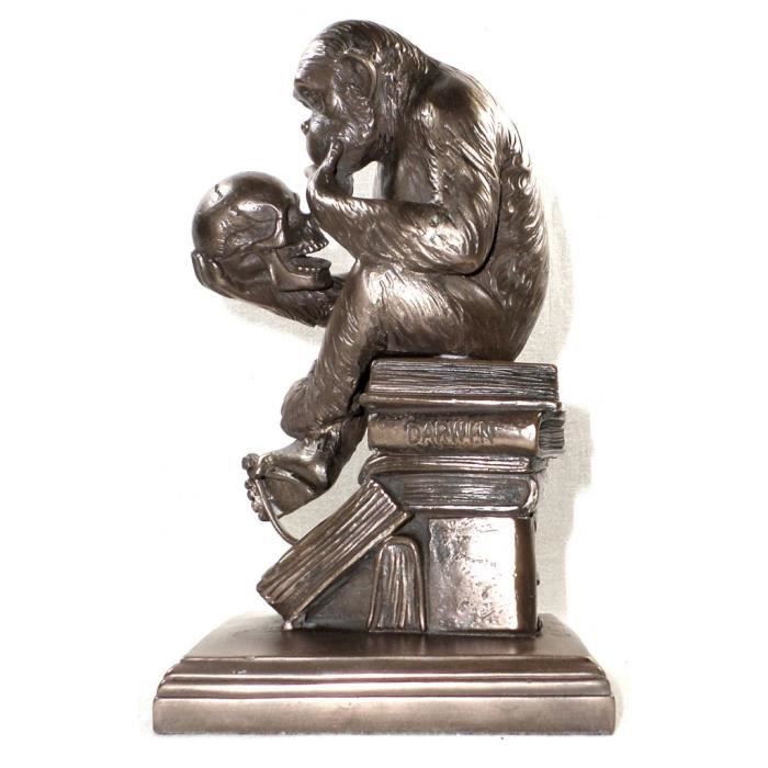 Statuette Singe regardant le Crâne de Darwin