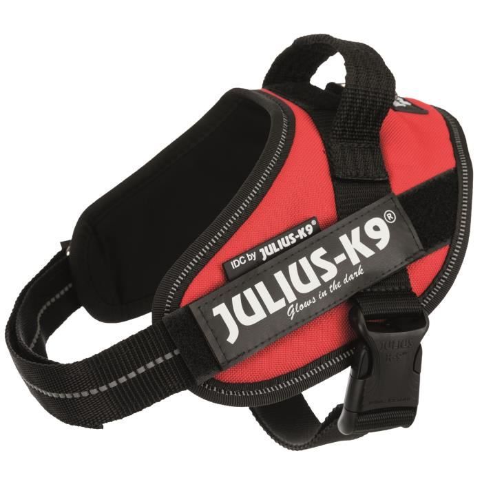 JULIUS K9 Harnais Power IDC Mini–S : 49–67 cm - 22 mm - Rouge - Pour chien