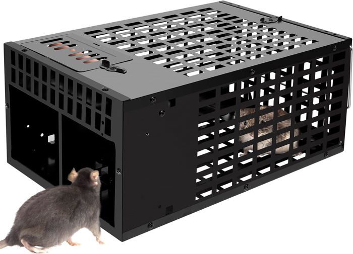 Piège à Souris Vivant Pliable XL - Cage En Acier Inoxydable, Capture Sans Cruauté, Réutilisable, Appâts Inclus - 8
