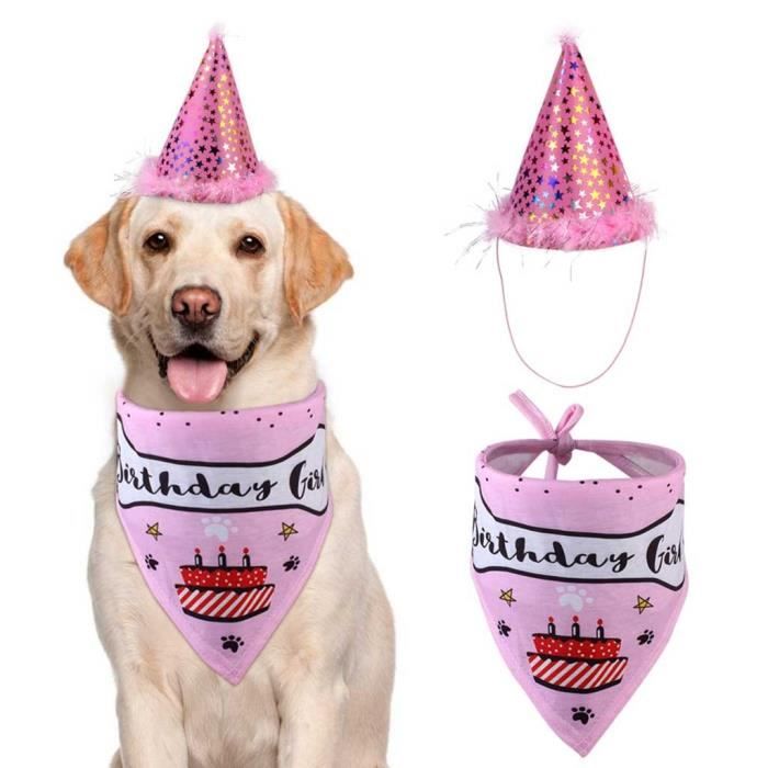 10 Mini Chapeaux De Fête Pour Peluches Et Animaux - Avec élastique, Paillettes Et Pompon, 6x2 Cm