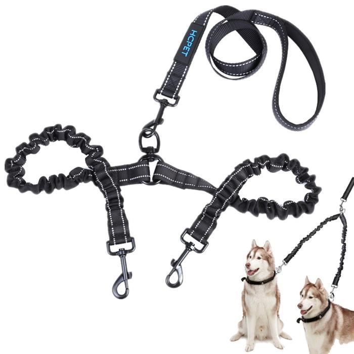 Laisse double pour chien, pivotante à 360 ° sans laisse, double 