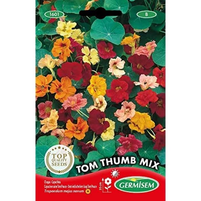 Graines De Capucine Naine Rumba Mix - Tropaeolum Minus Graines - Gamm Vert