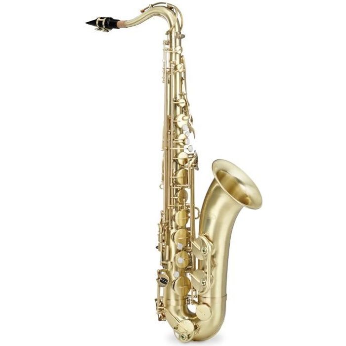 Kit Sax Slade 4 en 1 Ensembles Sax Plaquettes Sax Brosse Silencieux Sourdine Chiffon De Nettoyage Accessoire Sax Nettoyage Et Entretien Accessoires Dinstrument À Vent Sax Parties pour Sax 