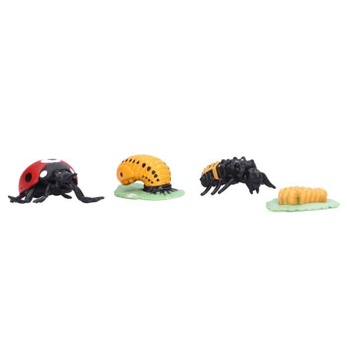 5 SETS JOUET Escargots Cycle De Croissance Des Animaux Enfant Tout