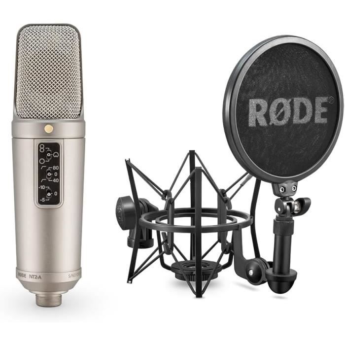 Nt2-A Microphone À Condensateur À Large Membrane Polyvalent Avec Motif ...