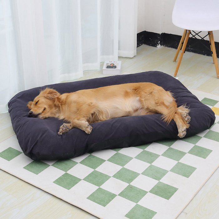 Meilleurs prix pour Panier Chien, Lit pour Animaux, Moelleux Velours Côtelé, Lavable et Dehoussable, avec Fond Antidérapant, 110x75cm, Gris Foncé