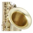Saxophone - Classic Cantabile - Winds TS-450 Brushed saxophone ténor-1