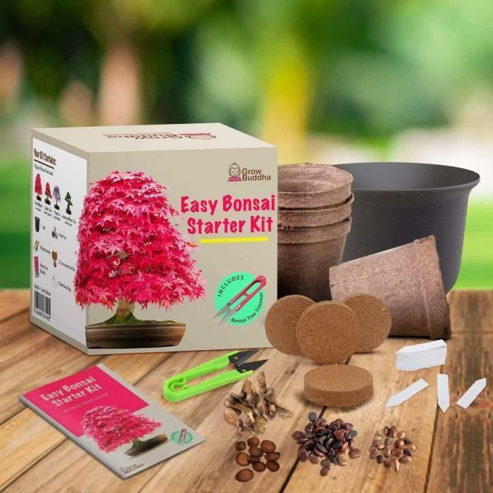 Achat Cultivez votre propre kit de démarrage de bonsaï en gros