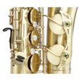 Saxophone - Classic Cantabile - Winds TS-450 Brushed saxophone ténor-2