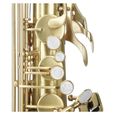 Saxophone - Classic Cantabile - Winds TS-450 Brushed saxophone ténor-3