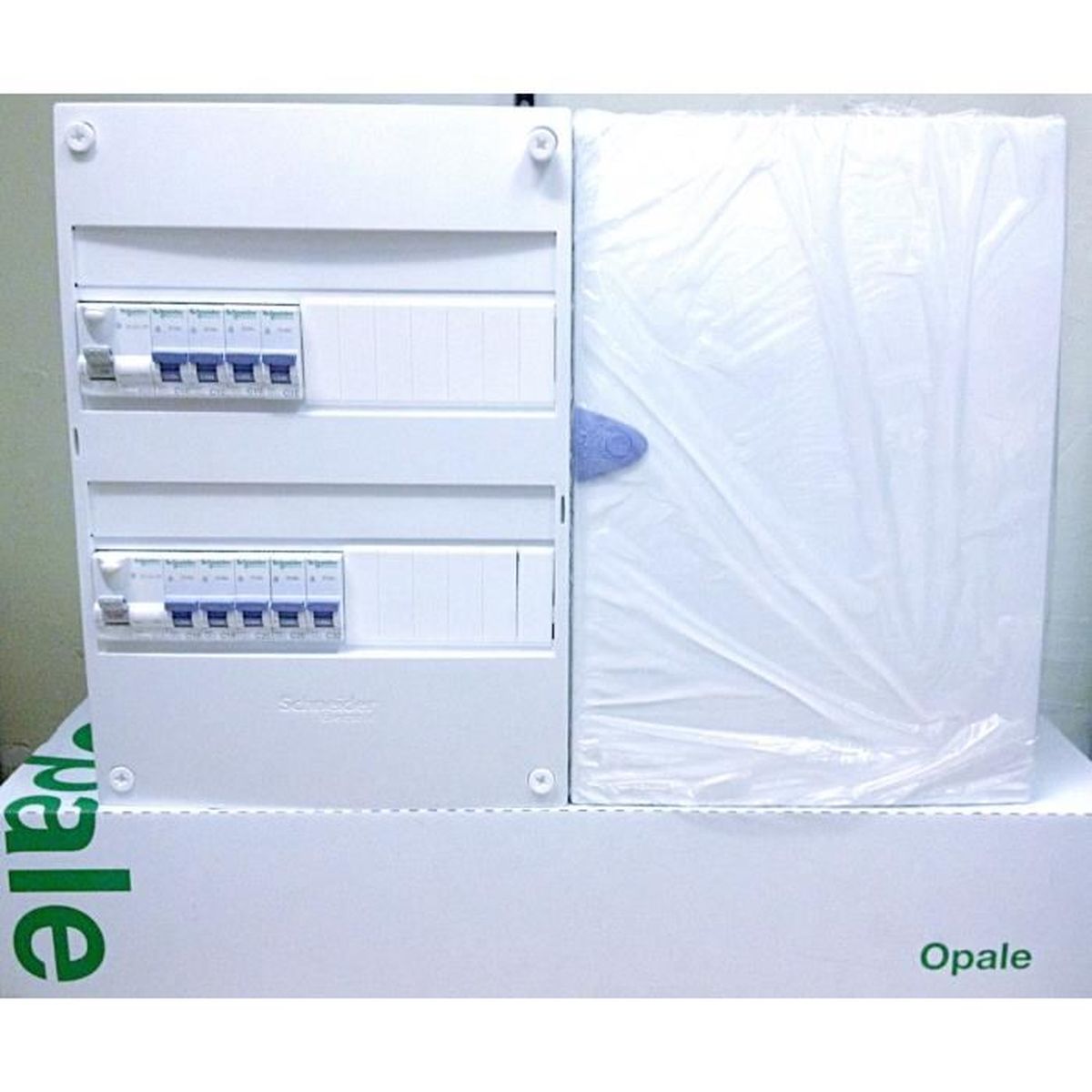 Tableau Electrique 2 Ranfee Pre Equipe Avec Porte Schneider