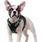 RABBITGOO Harnais Chien Anti Traction, Harnais Tactique Chien Réfléchissant Réglable avec Poignée et Anneaux pour Entraînement Chasse Noir-S