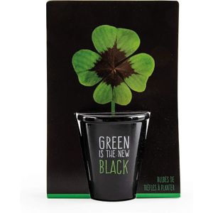 GRAINE - SEMENCE Kit de plantation black avec bulbes de Trèfle à 4 