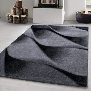 Tapis Salon Gris Noir