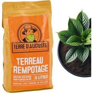 TERREAU - SABLE Terre D'AUGUSTE - Terreau Rempotage 6L avec Fermeture Eclair Refermable - Solution Spécifique pour Plantes Vertes  Fleuries en P3