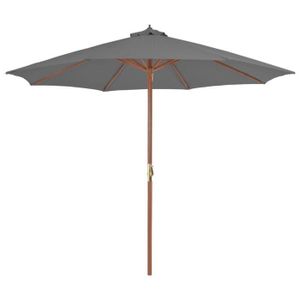 PARASOL vidaXL Parasol d'extérieur avec mât en bois 300 cm