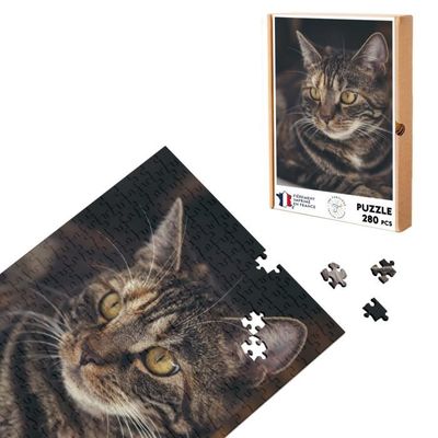 JEUX éducatif - Puzzle 3d animaux domestiques CHAT roux et noir
