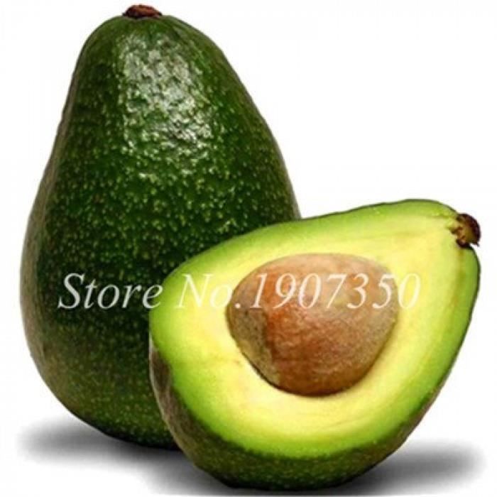Version 13 - Vente! Pièces Bonsaï Avocat Délicieux Arbre Fruitier Doux Facile À Cultiver Pour La Maison Jardin Potager Bio Pot