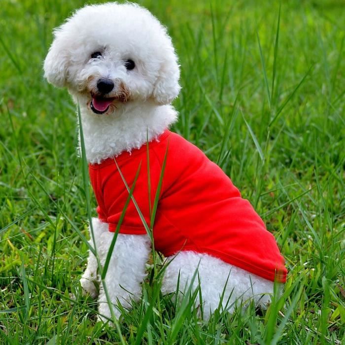Manteau Blouson,Nouvelle chemise polo d'été pour chiens Vêtements pour chiens, vêtements pour petits et moyens- Type red-S