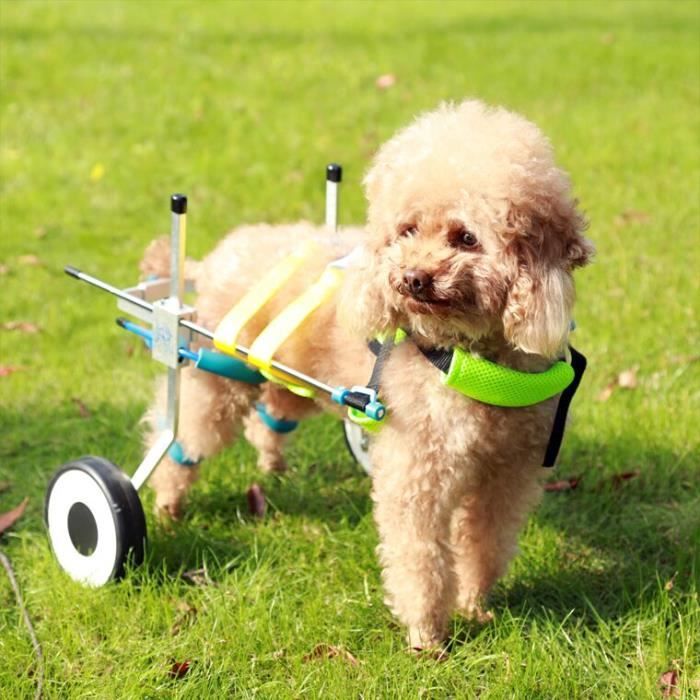 Animal Chariot Fauteuil Roulant 2 Roulettes Corde de Traction Chien Chat Handicapé Postérieurs Auxiliaires Outil Marche Aide L