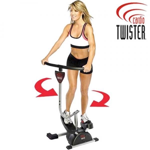 Appareil Fitness Cardio Twister