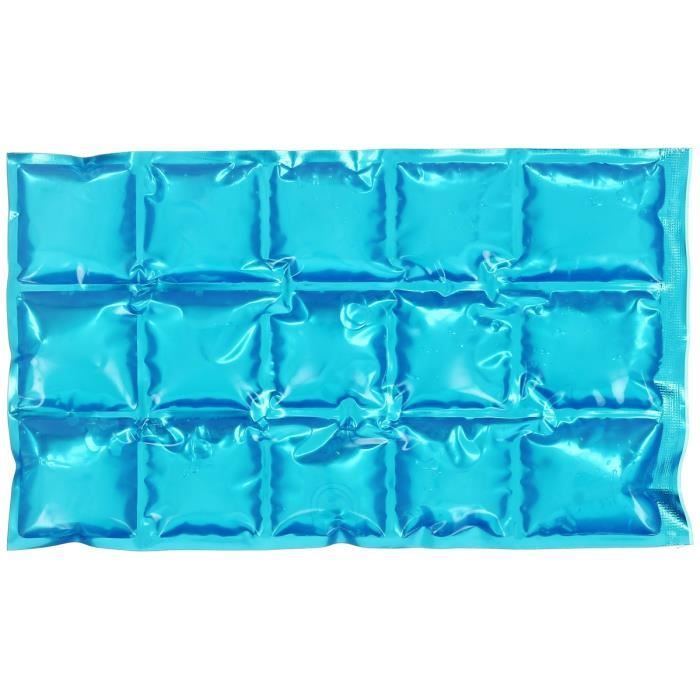 Pain De Glace Souple Glaçon Bloc Fraicheur Flexible Pour Glacière Bosse 15 Cubes Bleu