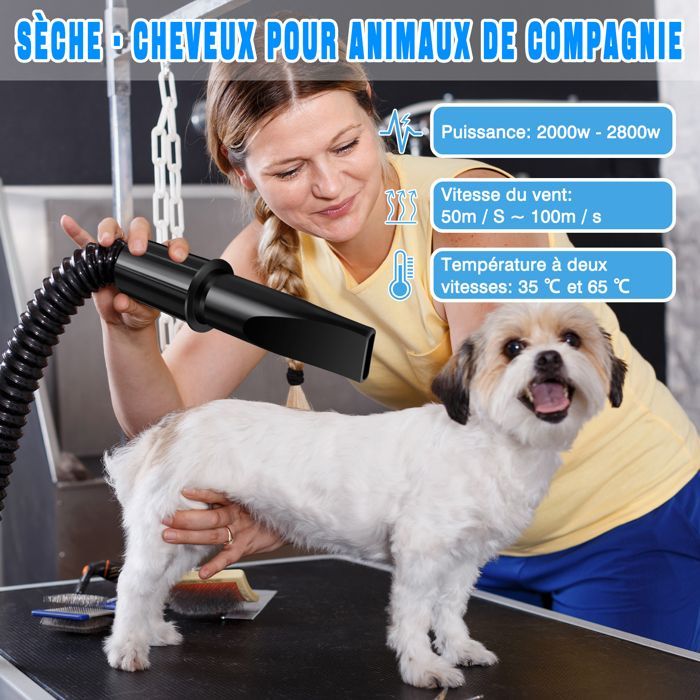 Comparer les prix de Sèche-cheveux professionnel pour chien, 2800 W, pour le toilettage des chiens, buses, vitesse du vent réglable et 2 températures
