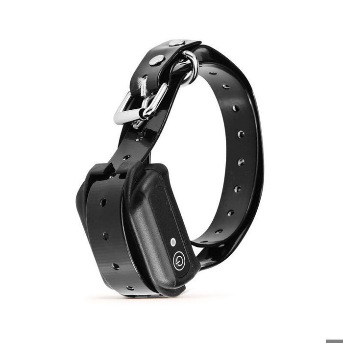 Meilleurs prix pour Collier de Dressage lectrique pour Chiens Rechargeable et tanche IP68 Modes de Correction Statique et couleurs multiples LARGEIGHT