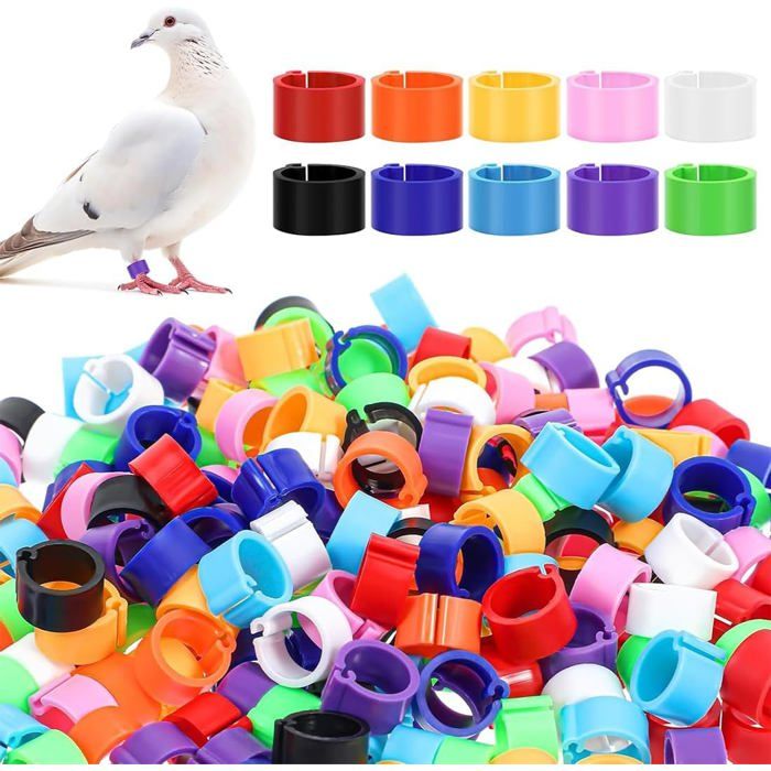 100 Bagues didentification 10mm Plastique durable Pour volaille et oiseaux .