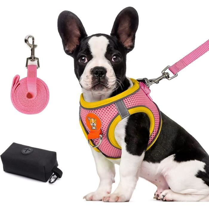 Harnais veste pour chien store