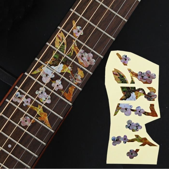 Tableau Des Notes Des Touches De Guitare Avec Code Couleur, Apprentissage De La Guitare Et Du