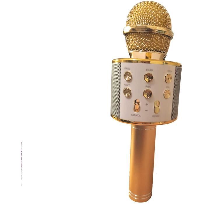 Achetez en gros Microphone Karaoké Sans Fil Professionnel Sans Fil Portable  Pour Enfants Chine et Micro Karaoké à 7.32 USD