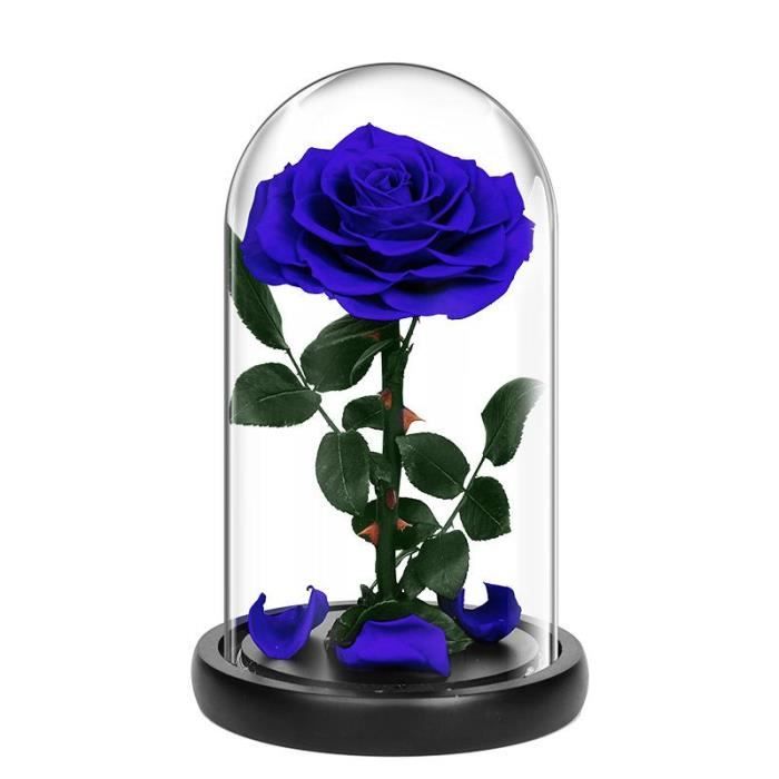Rose éternelle sous cloche, Rose éternelle naturelle sous cloche, vraie rose  - Bleue - Cdiscount Maison