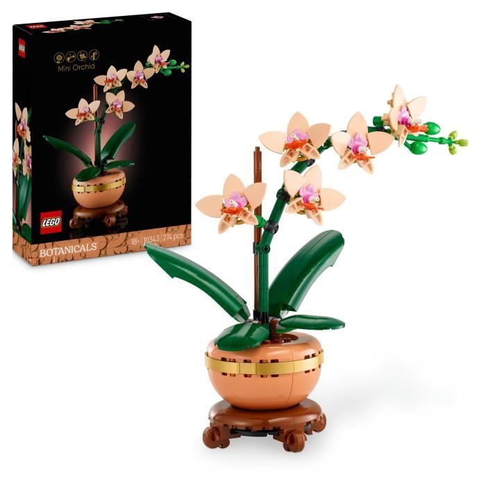 LEGO Botanicals 10343 L’orchidée miniature - Fleurs artificielles - Idée cadeau