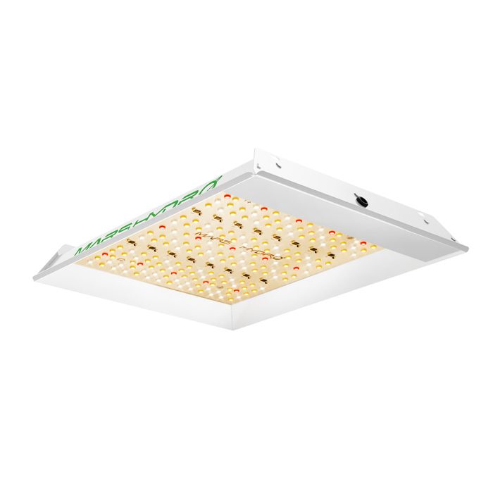 Mars Hydro TS 600 LED Grow Lights Lampe à panneau LED à spectre complet hydroponique pour plantes d'intérieur de la graine à la réc
